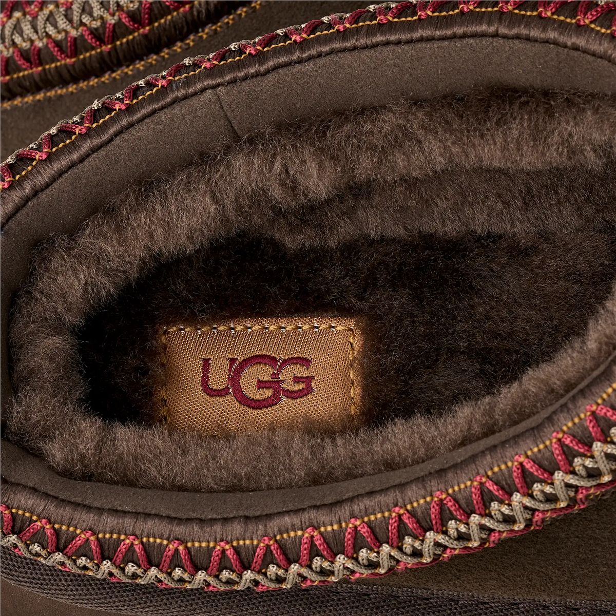 Tazz ii-UGG-Verso