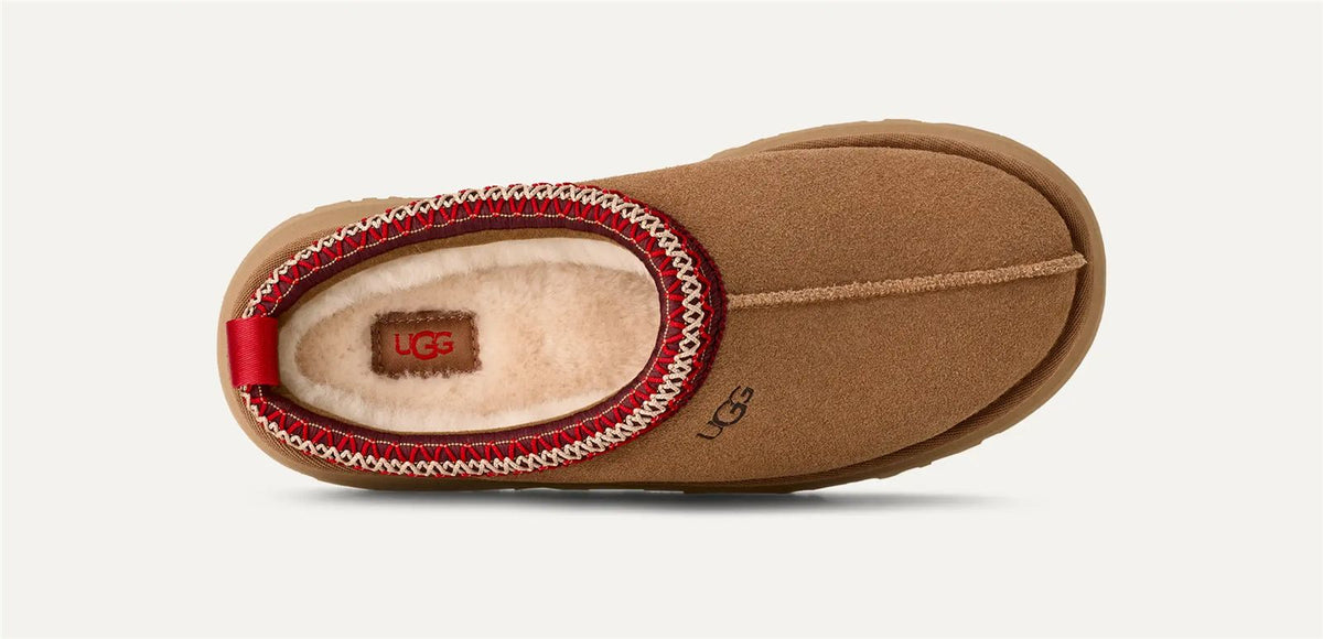 Tazz ii-UGG-Verso