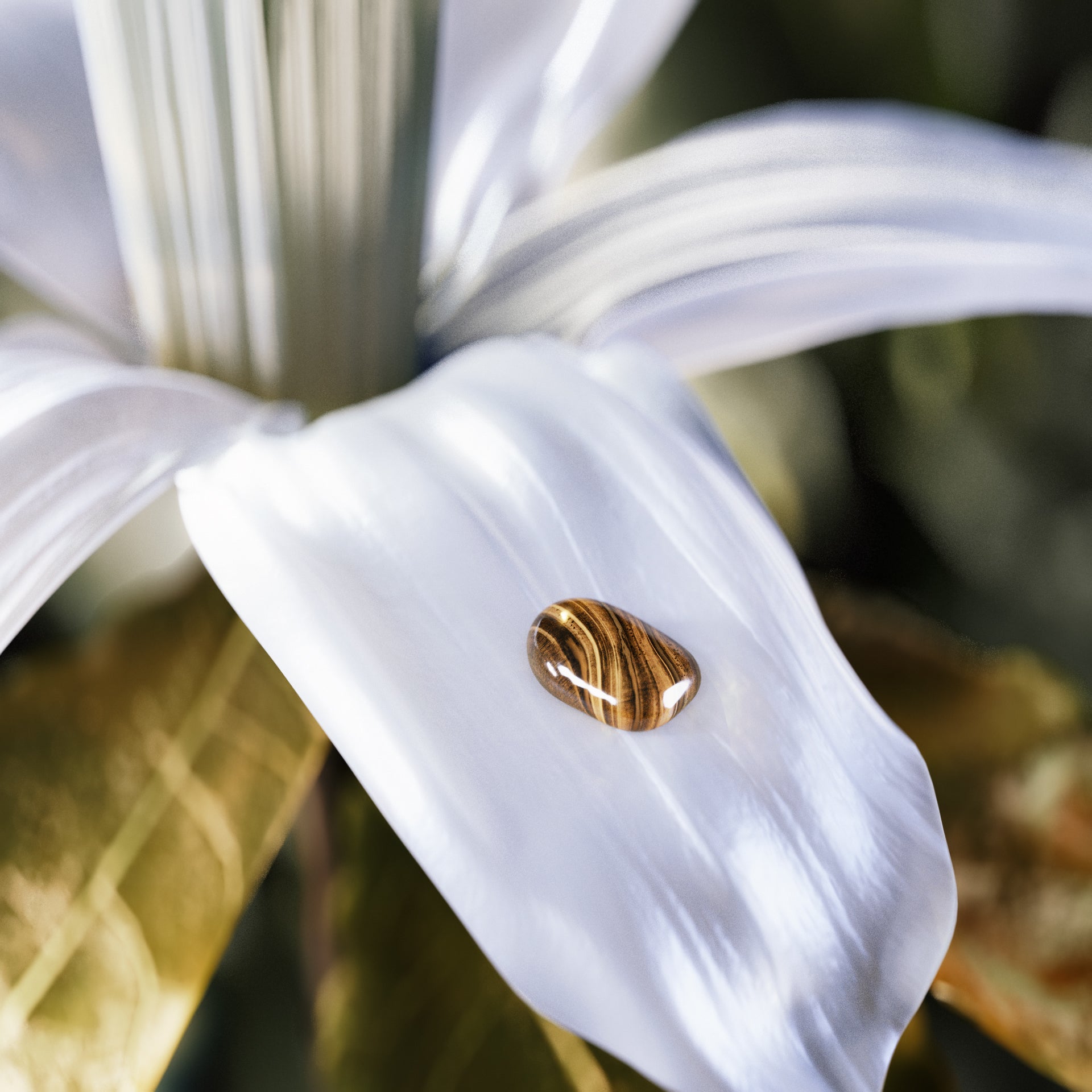 Le Gemme Tygar Eau de Parfum-BVLGARI PARFUMS-Verso
