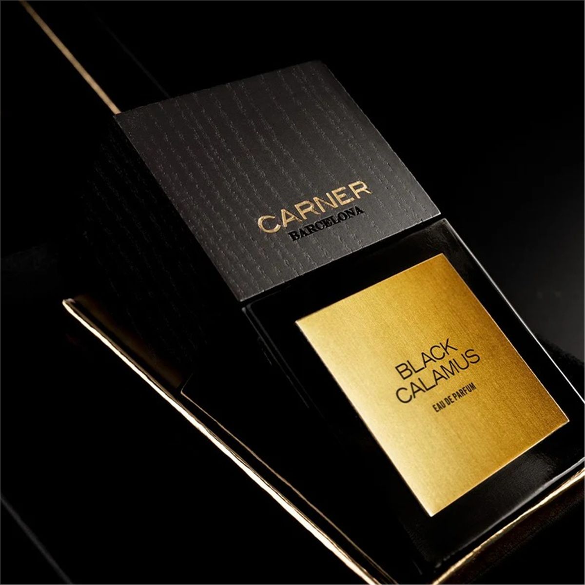 Black calamus eau de parfum