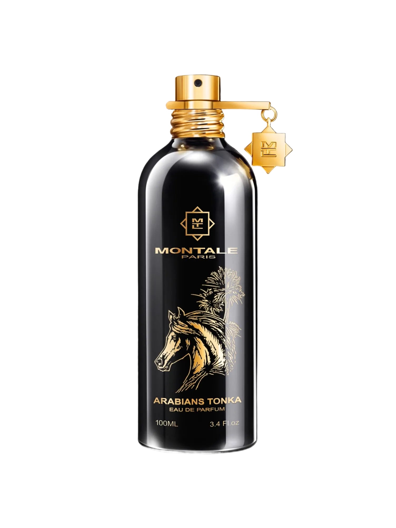 Arabians tonka-MONTALE-Verso