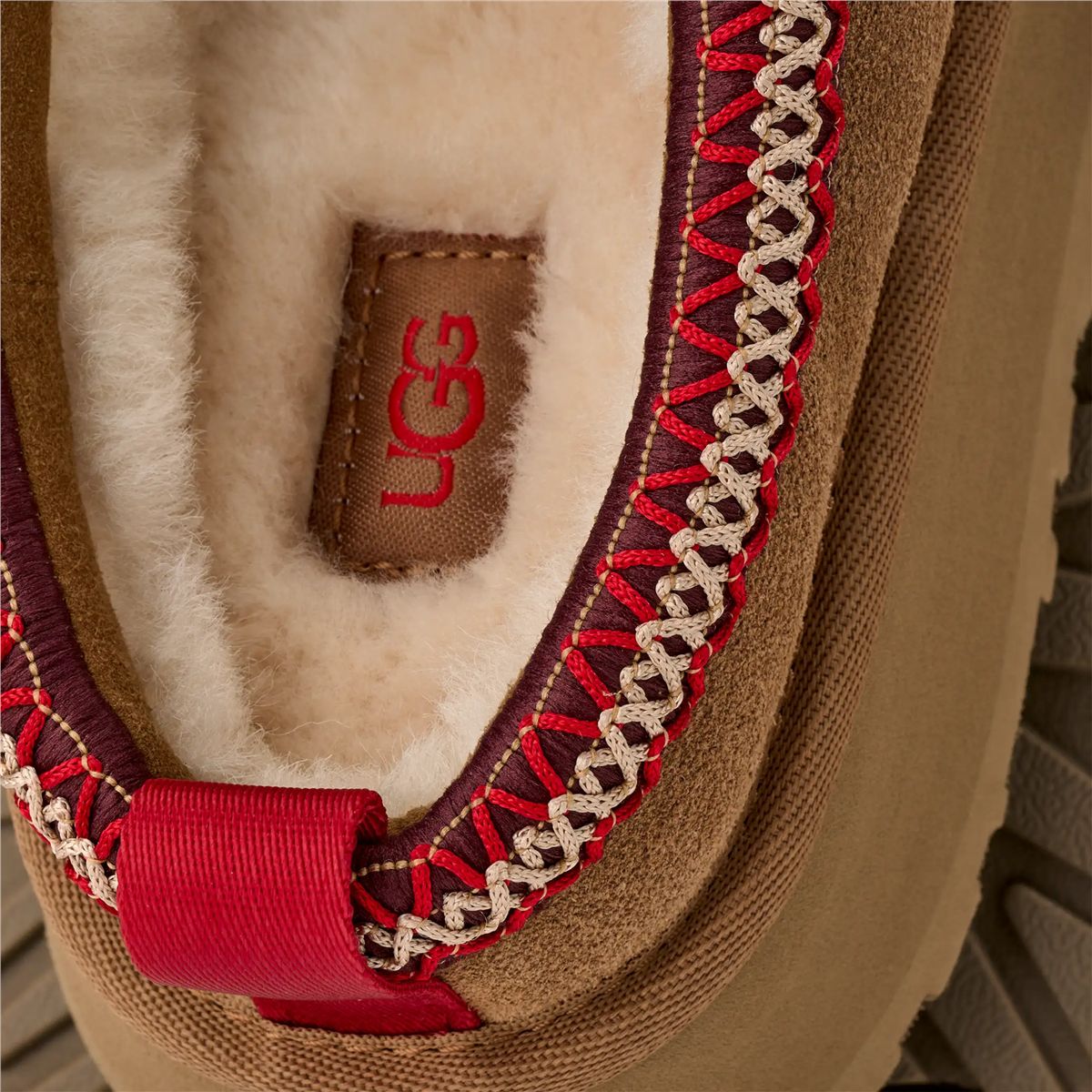 Tazz ii-UGG-Verso