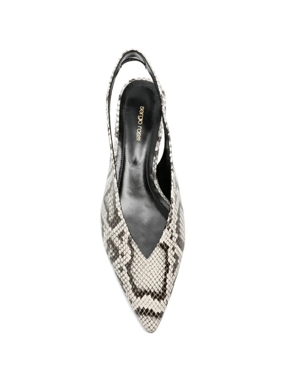 Beak slingback pointed pumps-S ROSSI-Verso