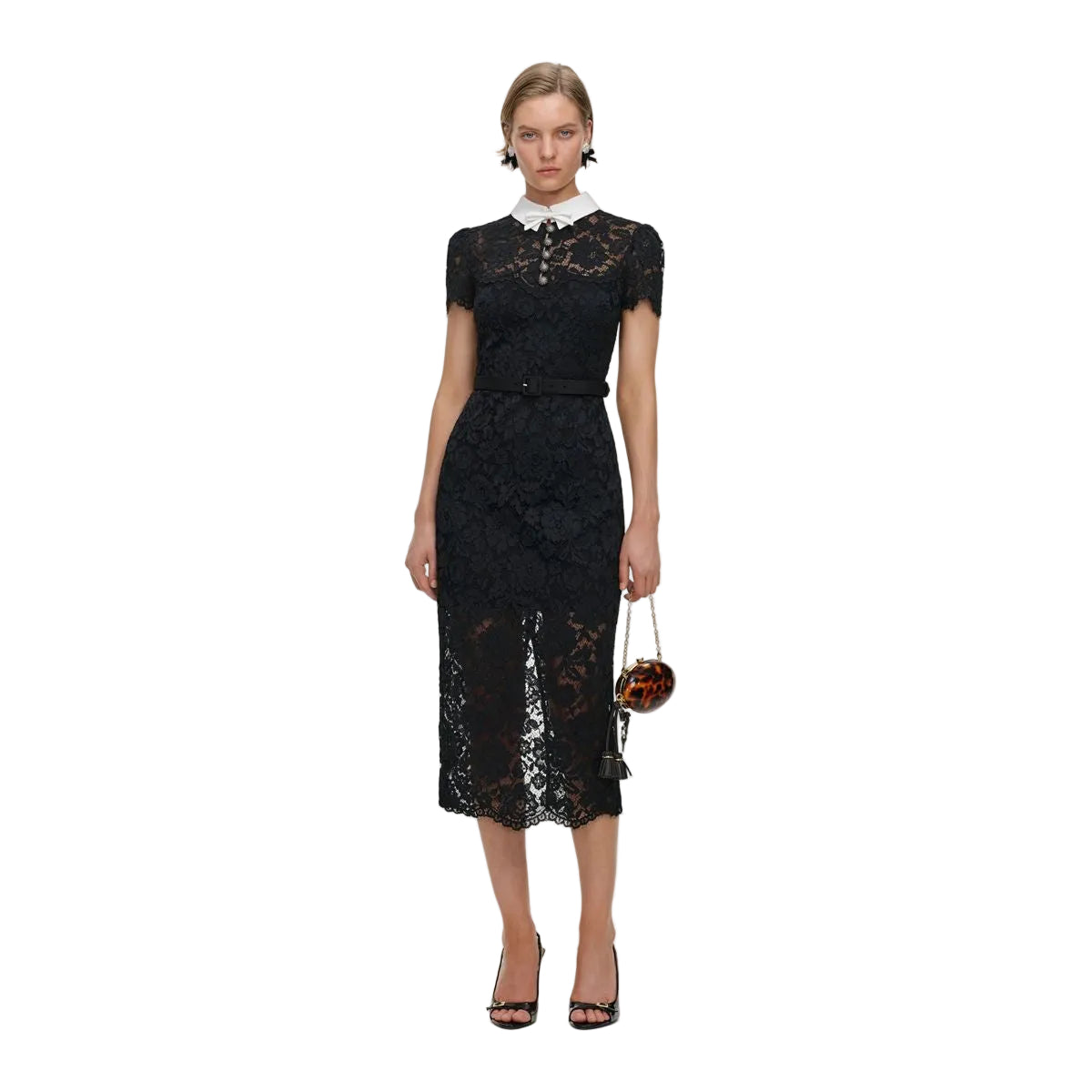Black lace contrast collar midi dress