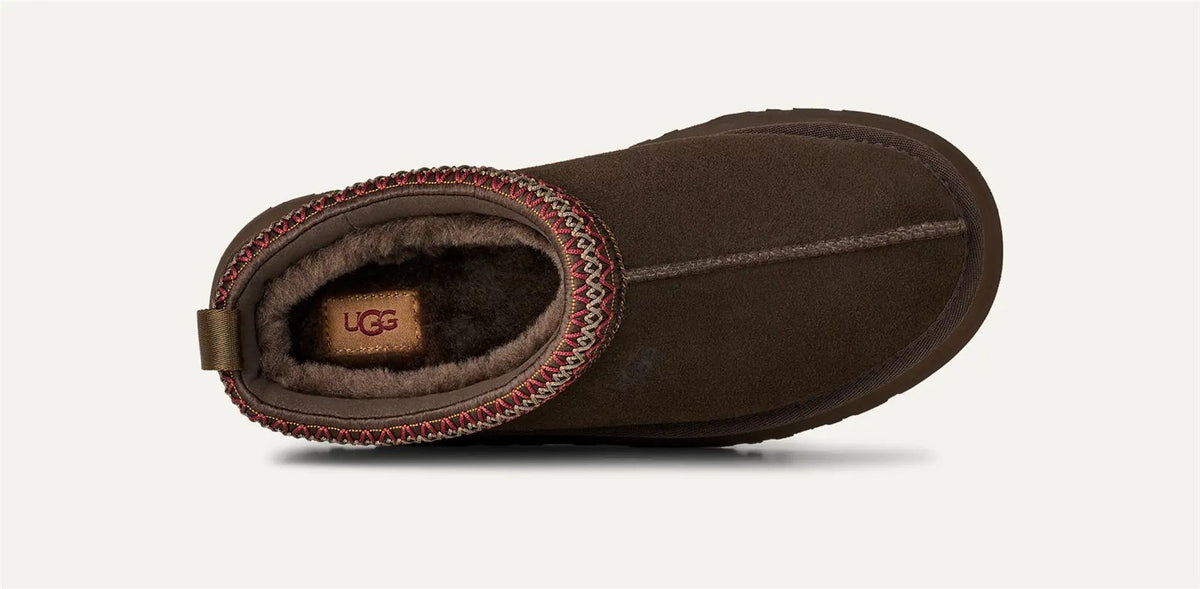 Tazz ii-UGG-Verso