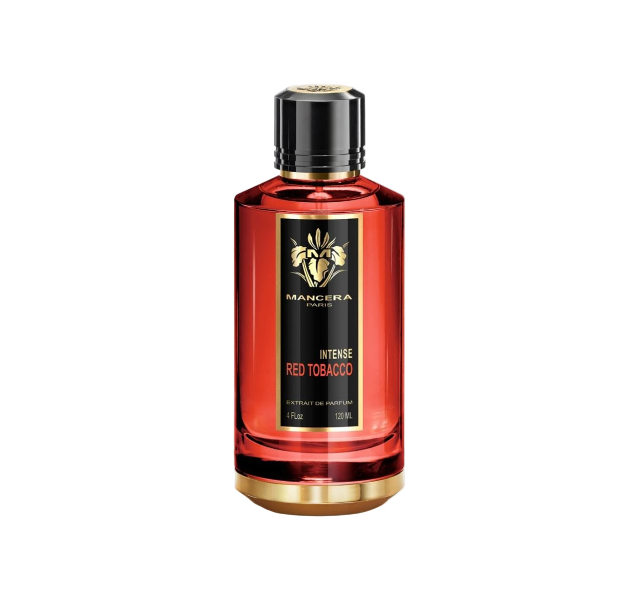 Intense red tobacco-MANCERA-Verso