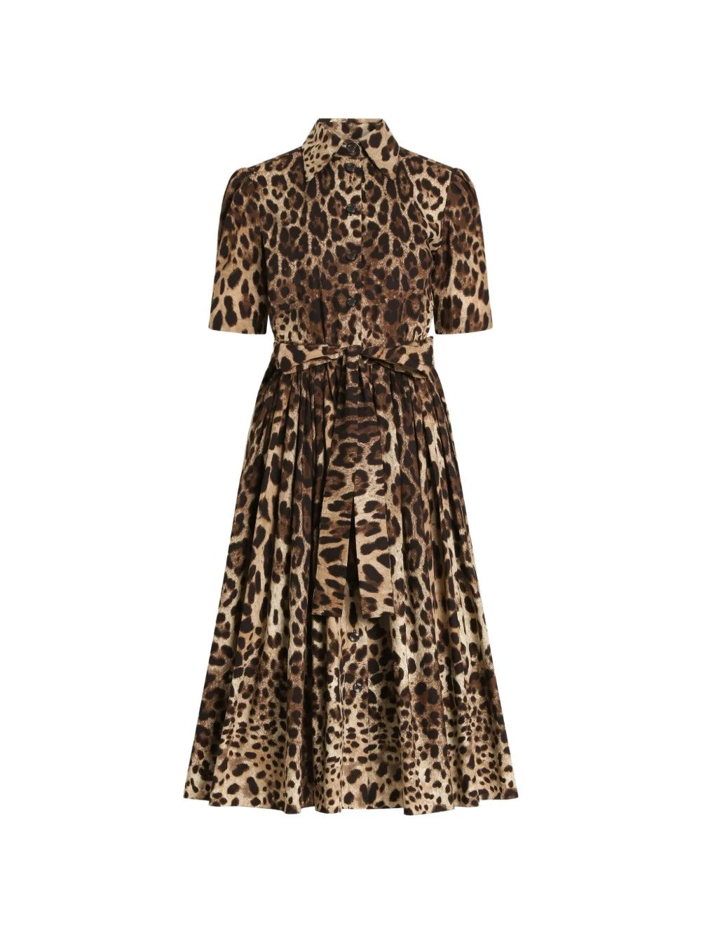 Leo-print poplin shirt dress-DOLCE&GABBANA-309164-40-Verso