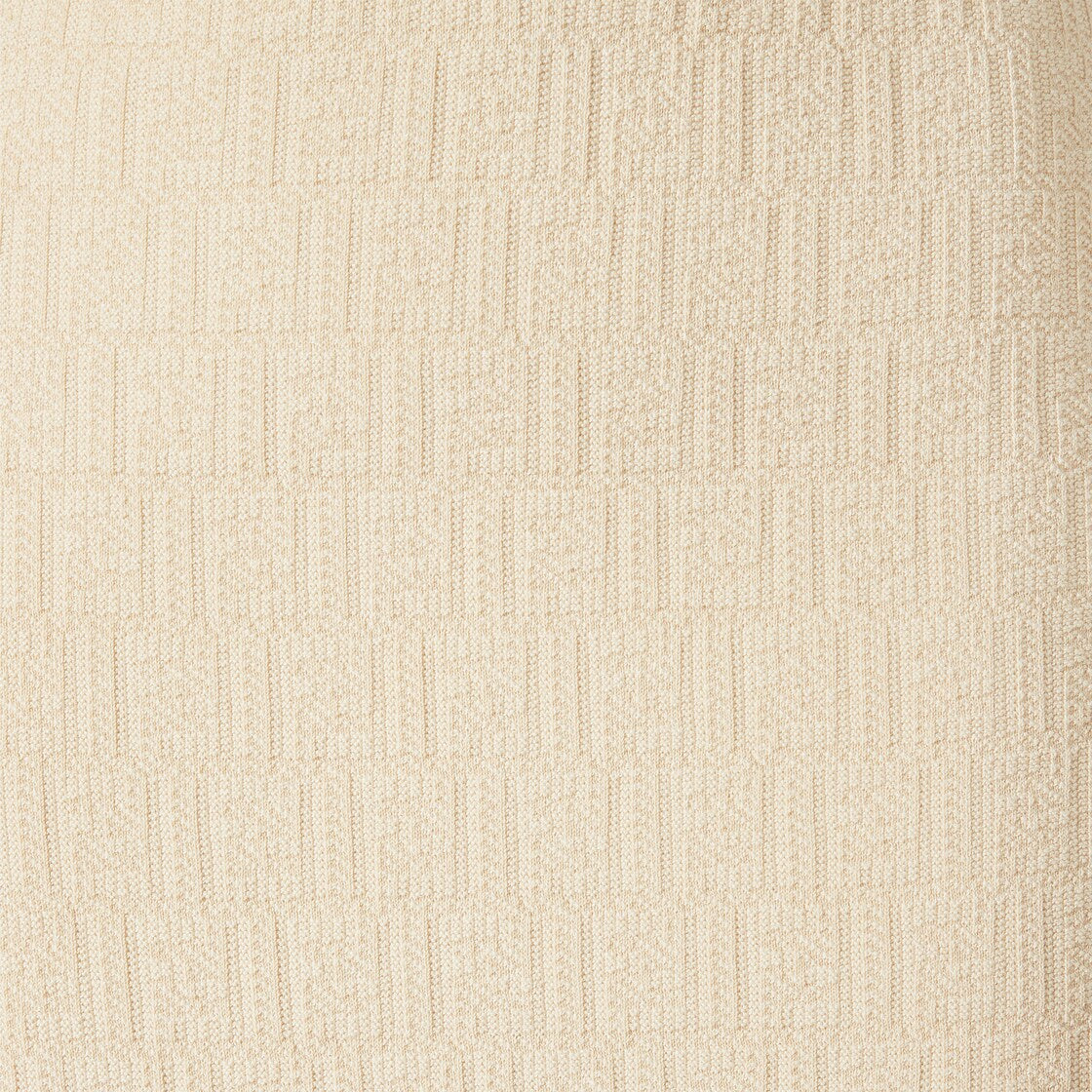 Light beige cotton and silk skirt-FENDI-Verso