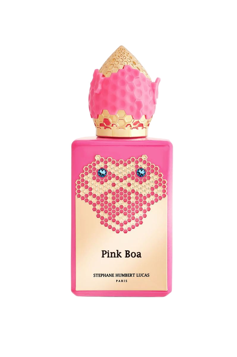 Pink boa-STEPHANE HUBERT LUCAS-Verso