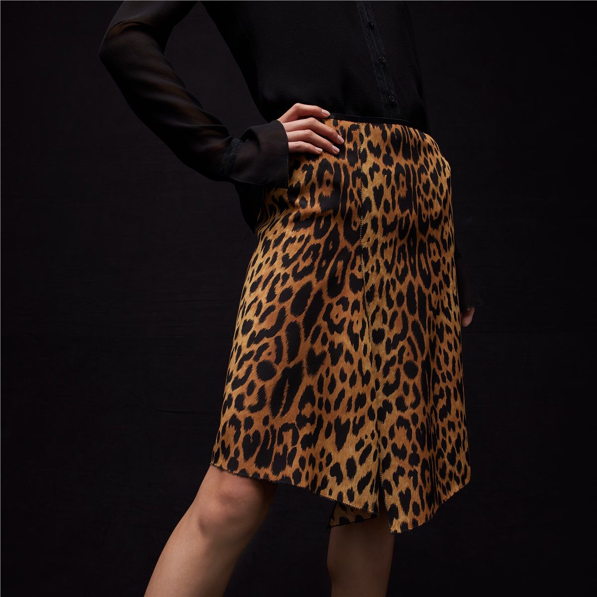 Printed Silk Crêpe de Chine Skirt