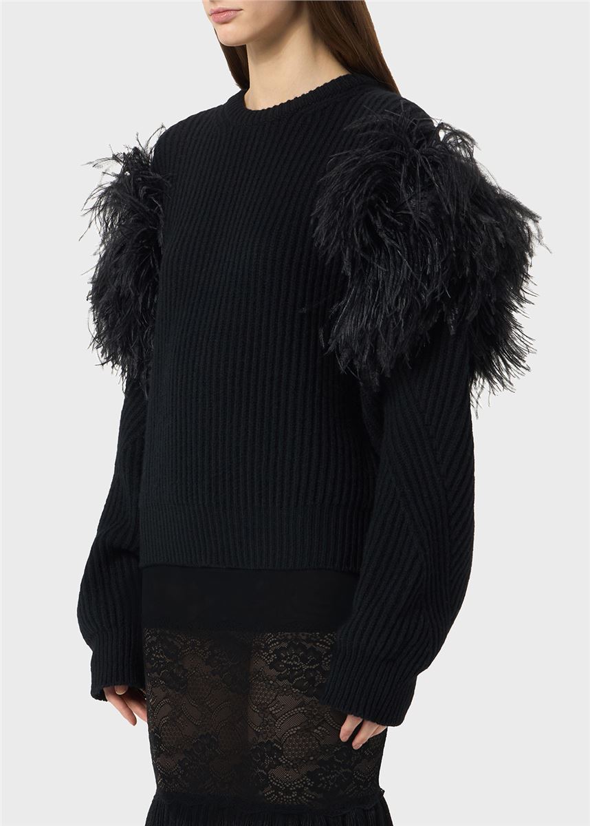 ribbed wool sweater with feathers-BLUMARINE-Verso