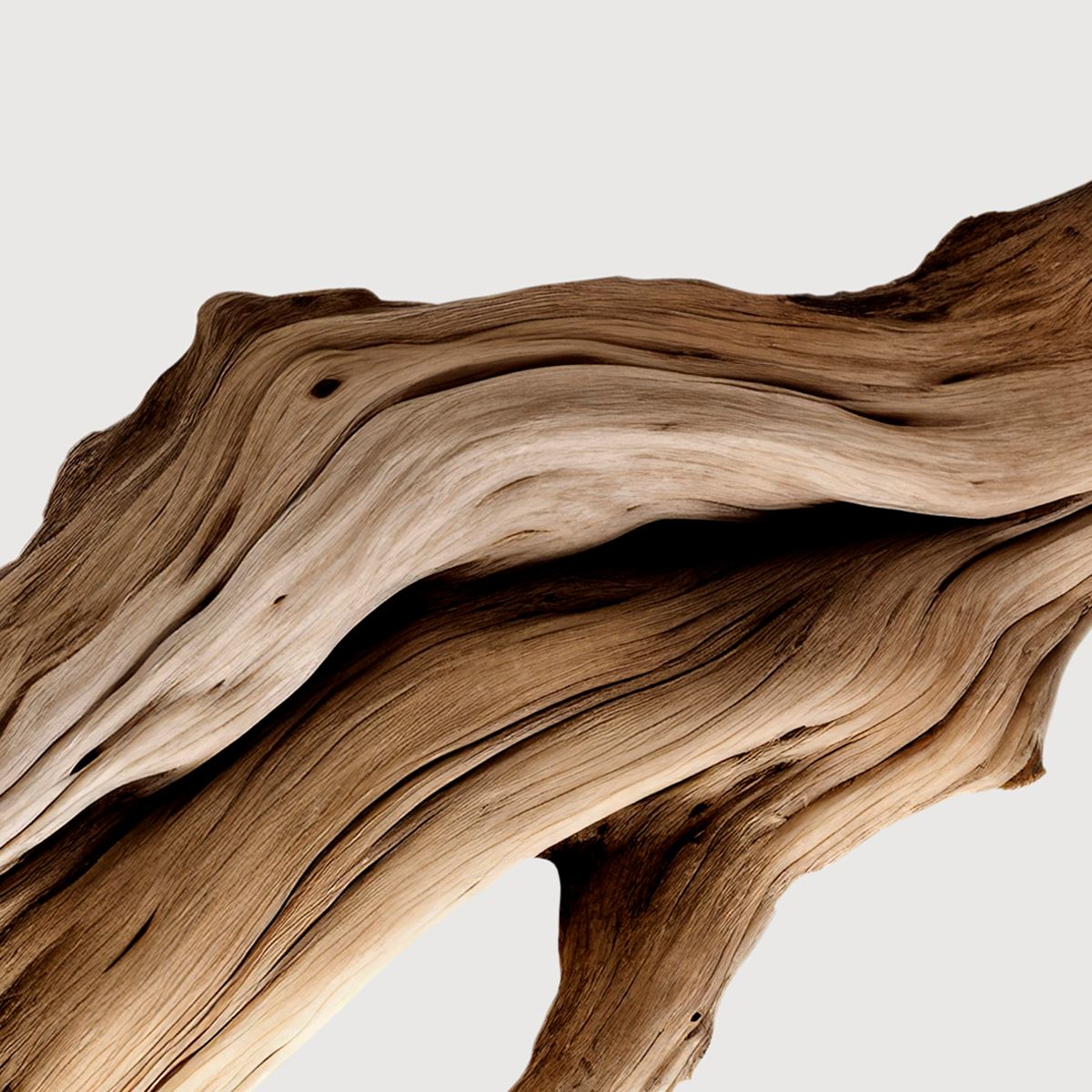 Santal austral extrait de parfum-MATIERE PREMIERE-Verso