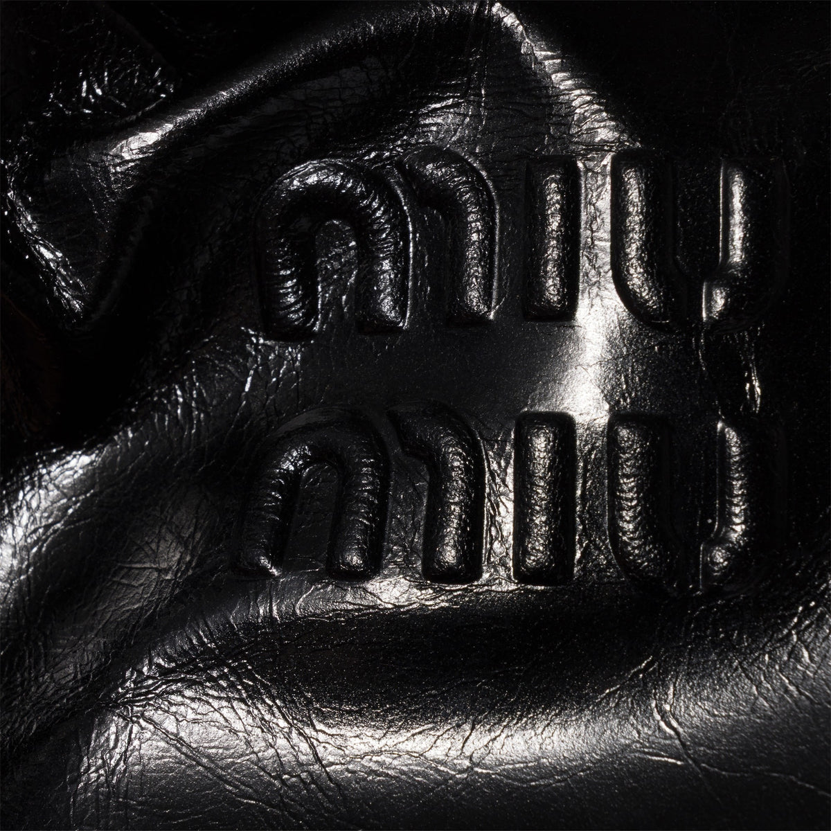 Shiny Leather Handbag