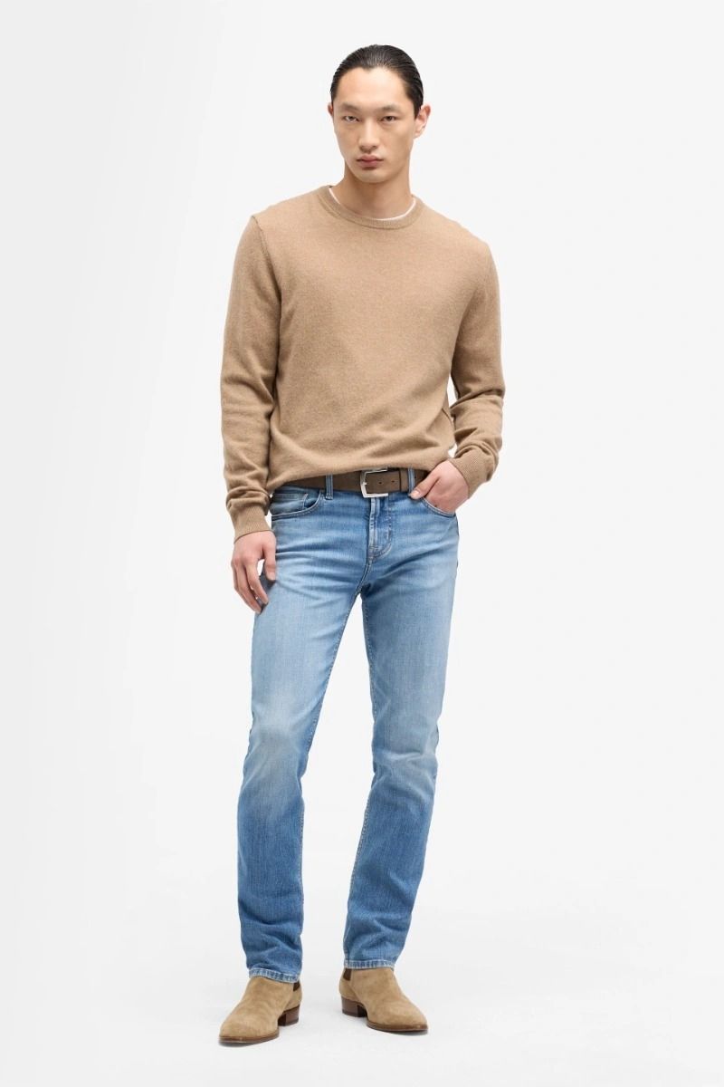 Slimmy raincloud-7FAM-Verso