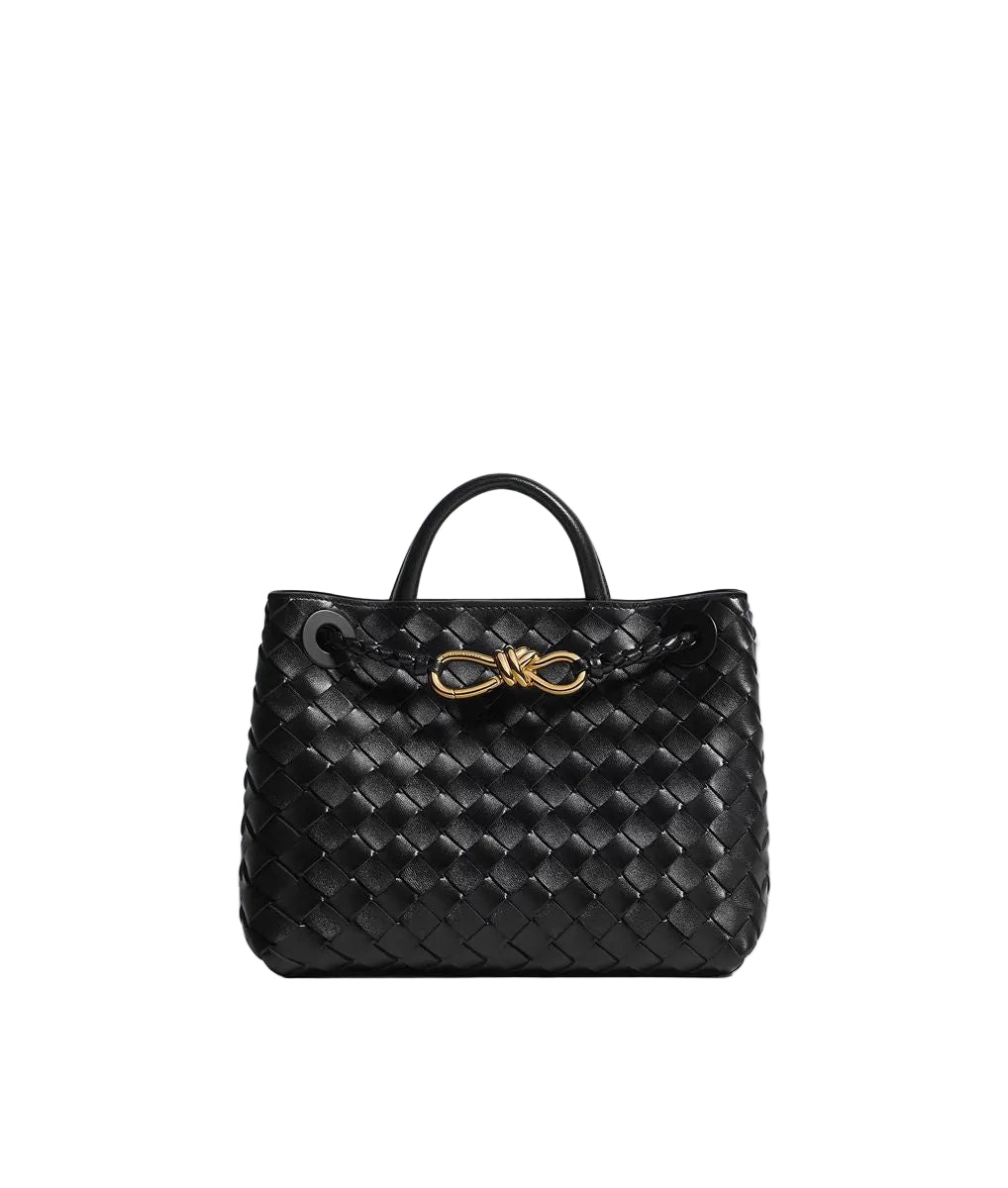 Small Andiamo-BOTTEGA VENETA-309128-TU-Verso