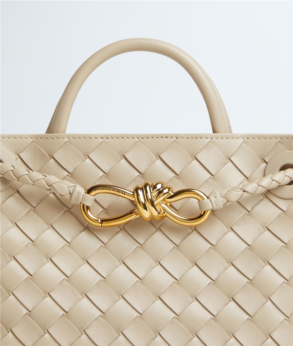 Small Andiamo-BOTTEGA VENETA-Verso