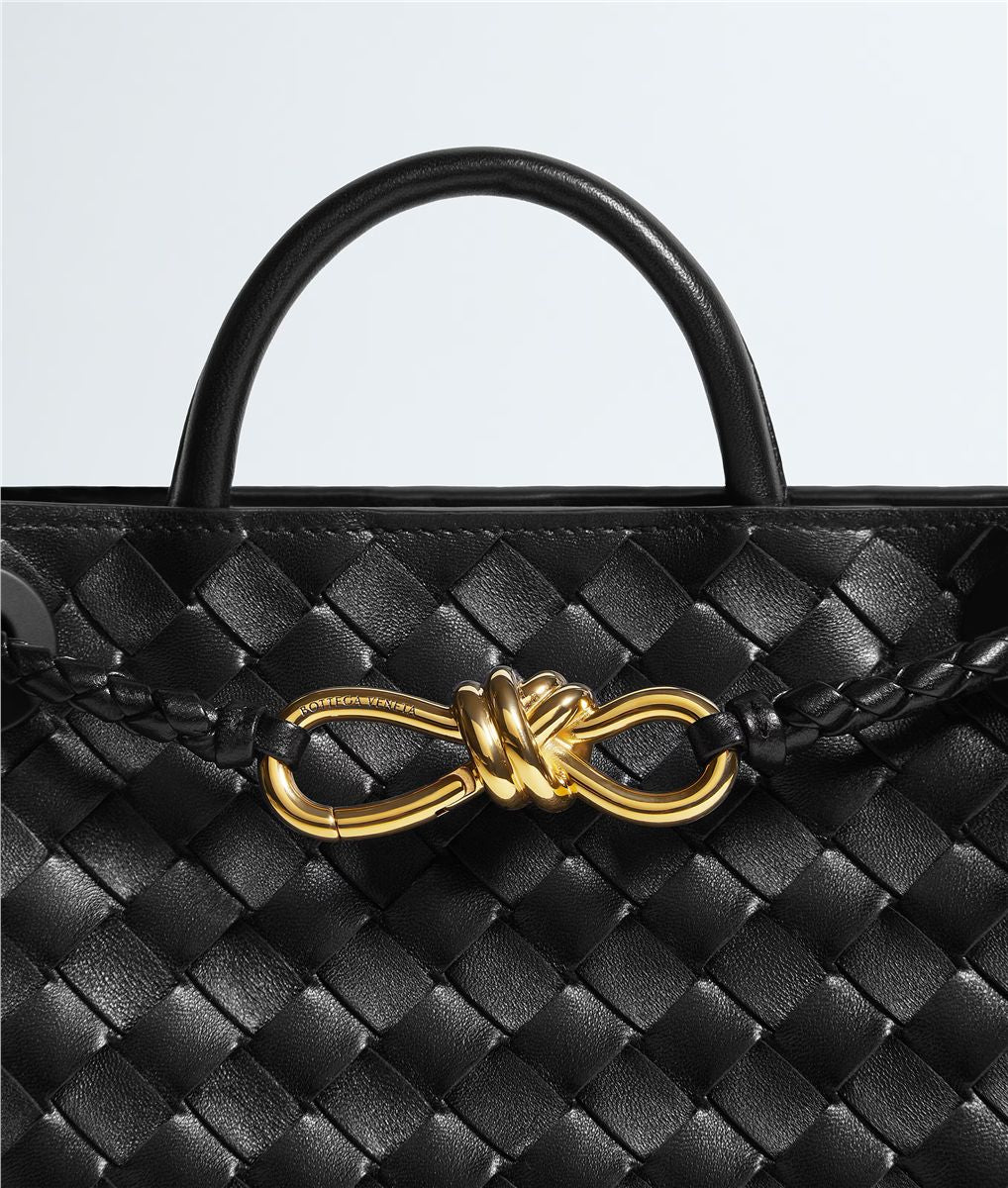 Small Andiamo-BOTTEGA VENETA-Verso