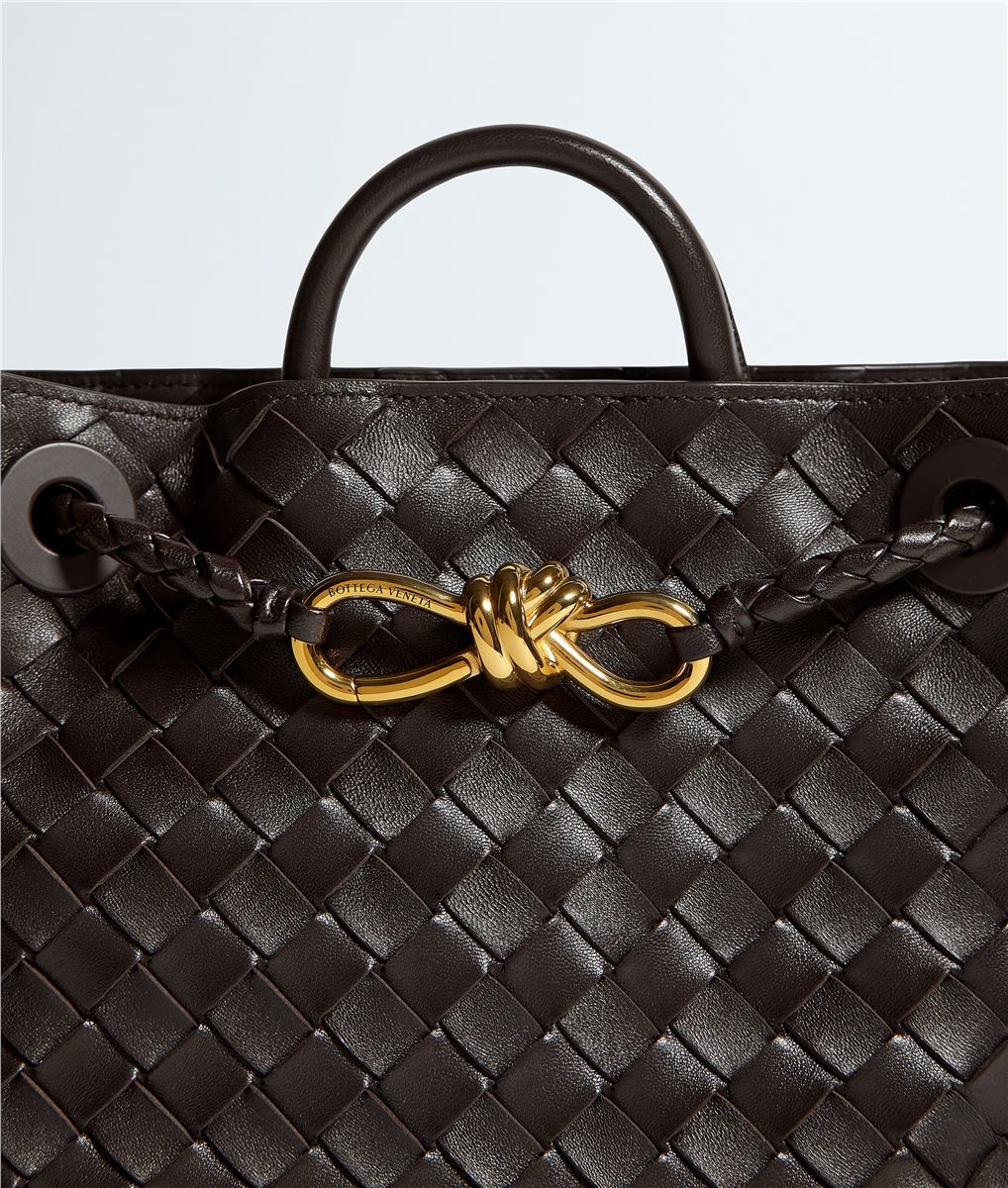 Small Andiamo-BOTTEGA VENETA-Verso
