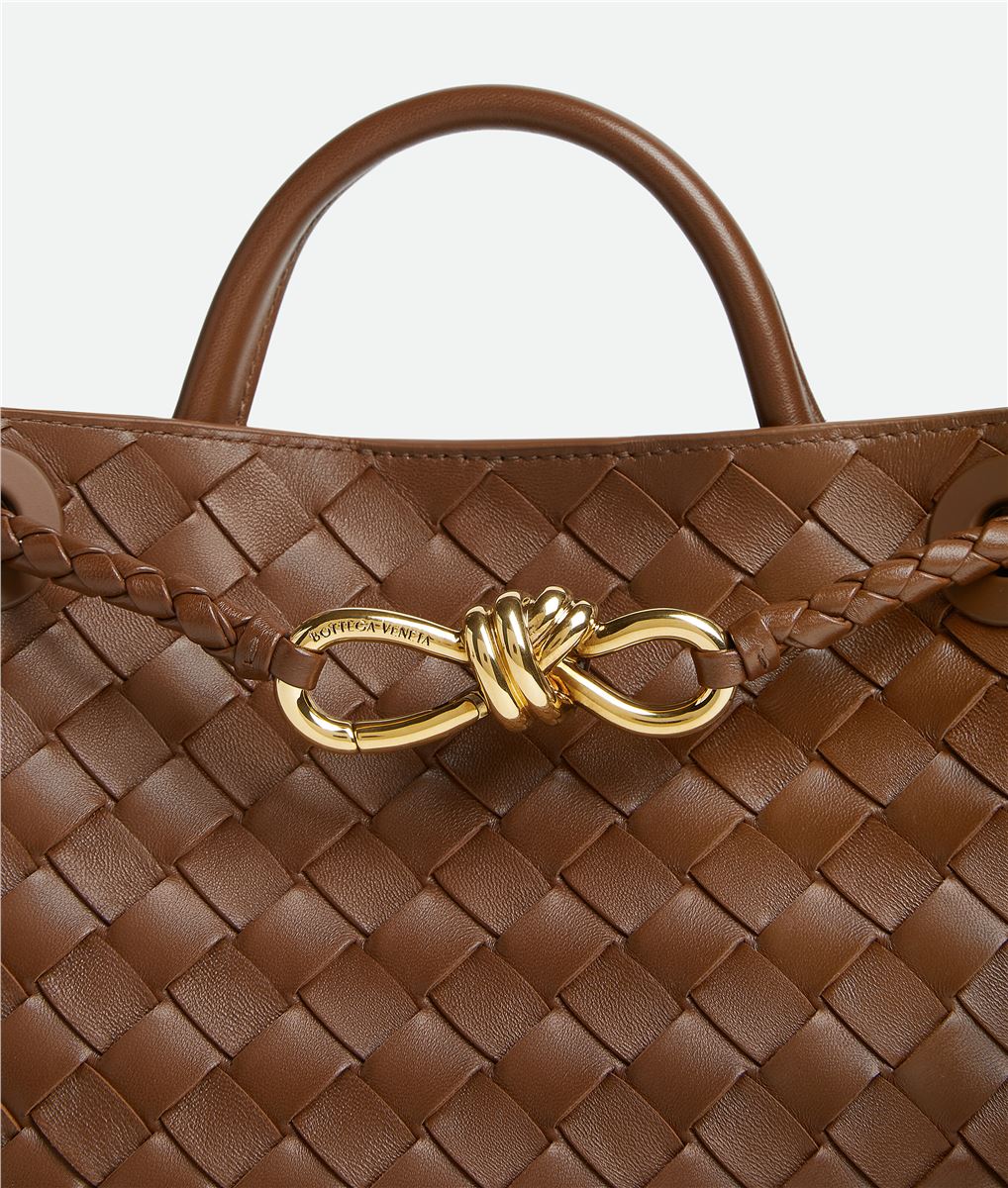 Small andiamo-BOTTEGA VENETA-Verso