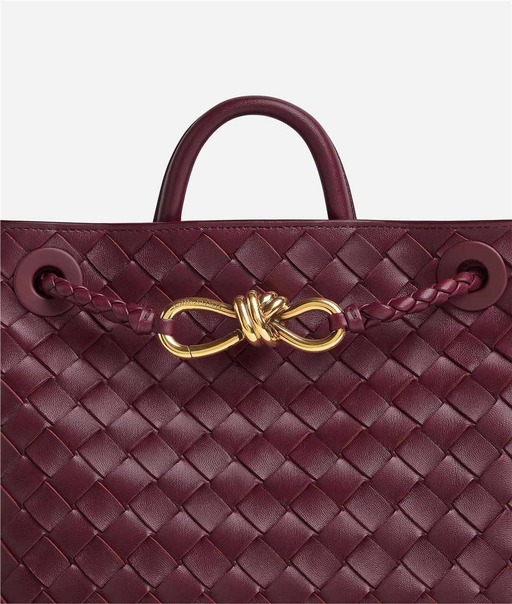 Small andiamo-BOTTEGA VENETA-Verso