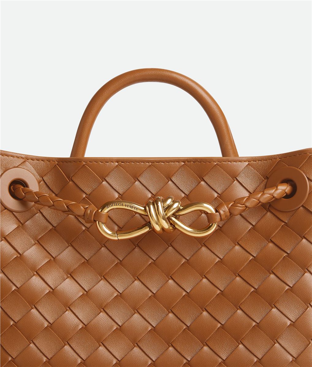 Small andiamo-BOTTEGA VENETA-Verso