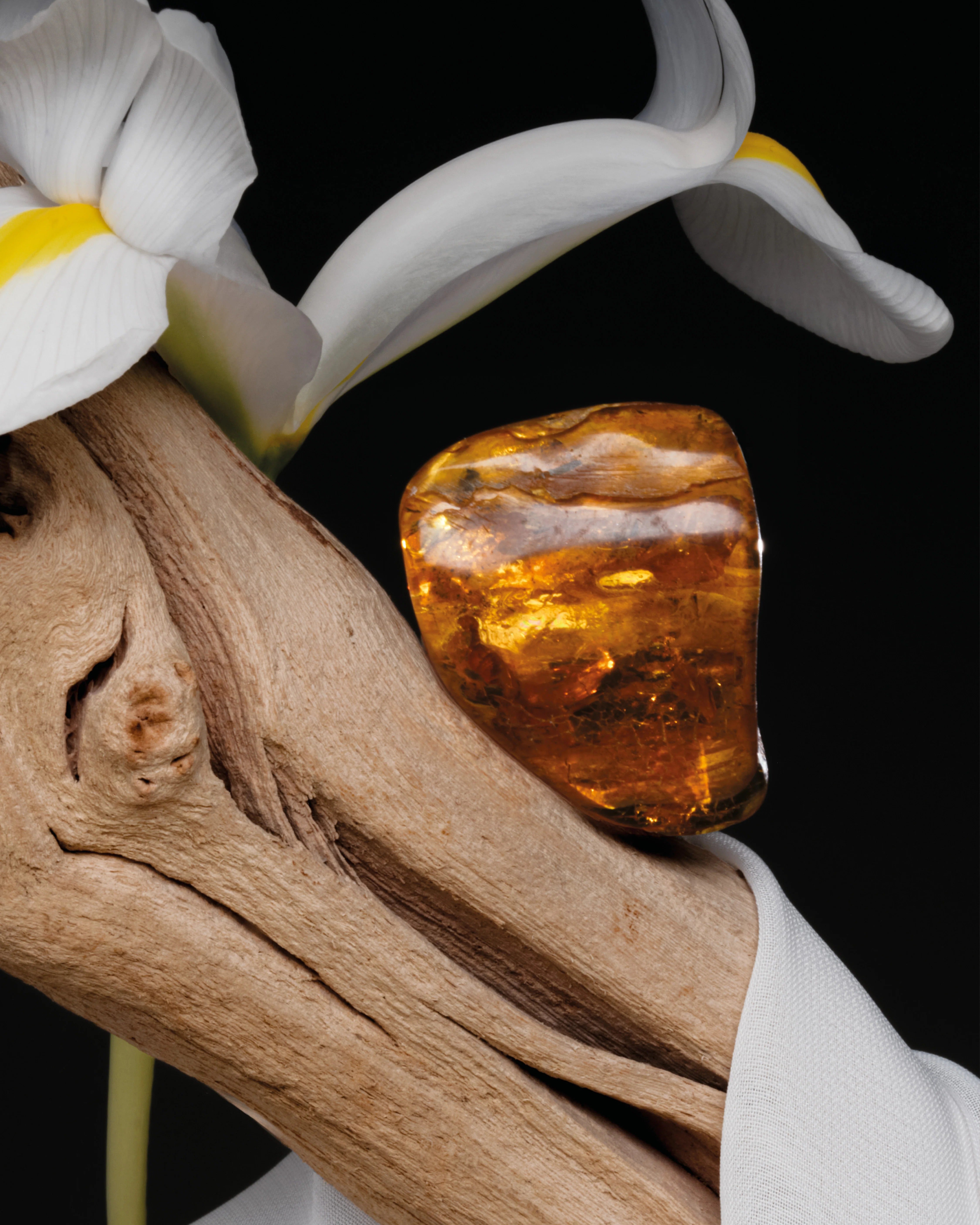 Stellar silk-BDK PARFUMS-Verso