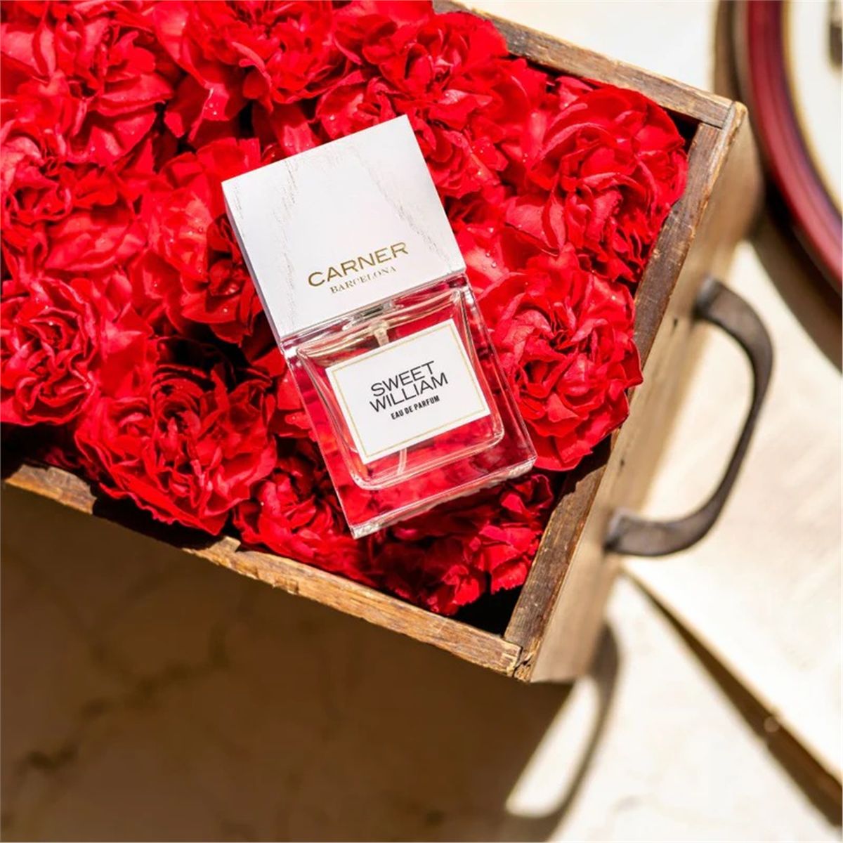 Sweet william eau de parfum-CARNER-Verso