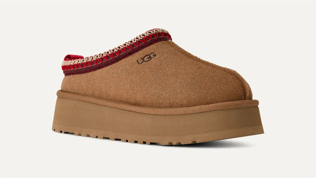 Tazz ii-UGG-Verso