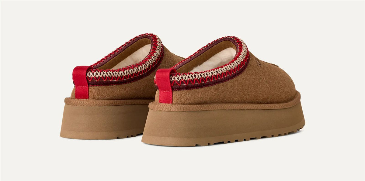 Tazz ii-UGG-Verso