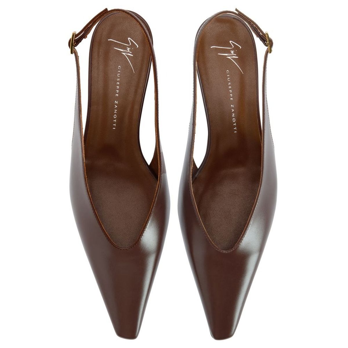 Virginia wedge-ZANOTTI-Verso